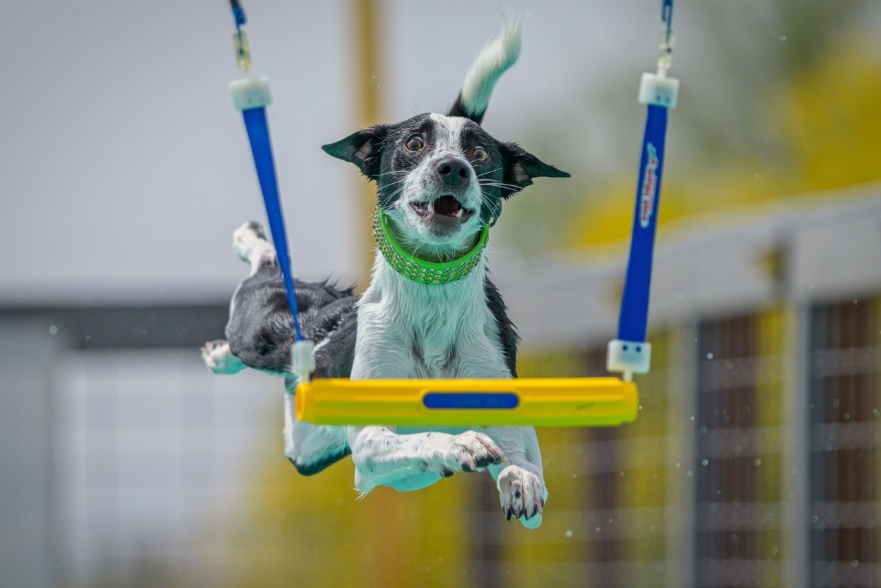 Tonopaws NADD Qualifier - April 23-26